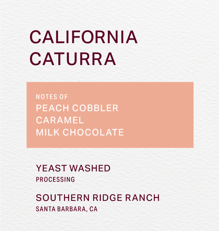 SOUTHERN RIDGE RANCH - YEAST WASHED - CATURRA - FRINJ COFFEE