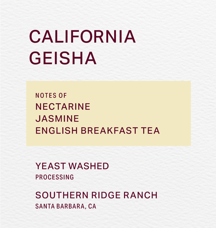 SOUTHERN RIDGE RANCH - YEAST WASHED - GEISHA